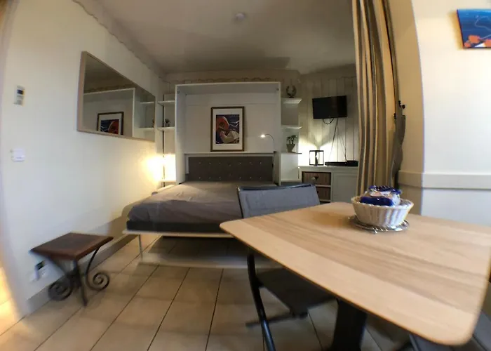 Situation Exceptionnelle Pour Ce Cosy Avec Terrasse Sur Lac, Dans Avec Et Ponton Privee * Duingt